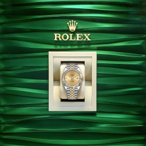 Rolex Datejust 41, 18k Yellow Gold and Stainless Steel, 41mm, Ref# 126333-0012 1:1