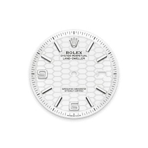 Rolex Land-Dweller 40mm Oystersteel & White Gold M127334-0001 1:1