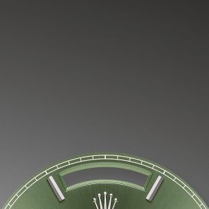 Rolex Day-Date 40 Platinum Ref# 228206-0027 1:1