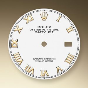 Rolex Datejust 36, 18k Yellow Gold and Stainless Steel, 36mm, Ref# 126233-0029 1:1